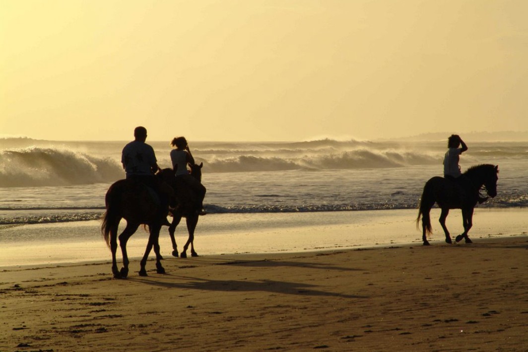 Saddle up and see the sea on horseback
