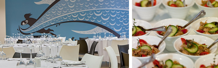 Durban Attractions