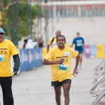 MMS---ECR-Big-Walk-2012---029